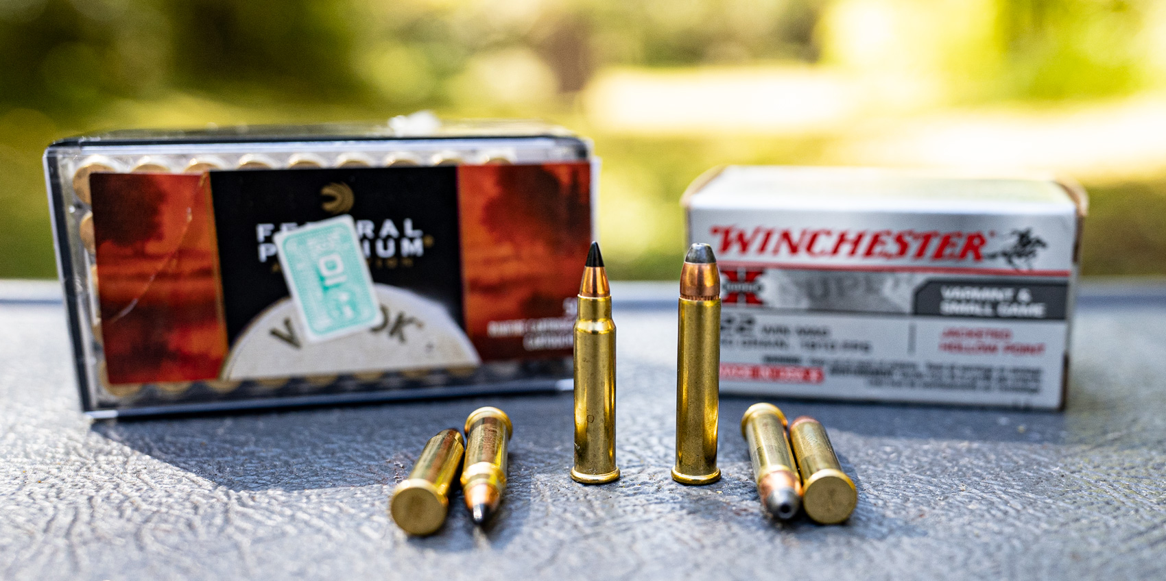 17 HMR ammo vs 22 WMR ammo on a shooting bench