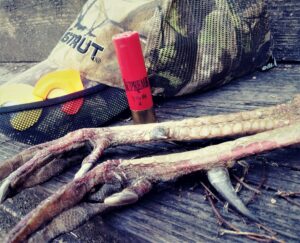 turkey hunting ammo and gear