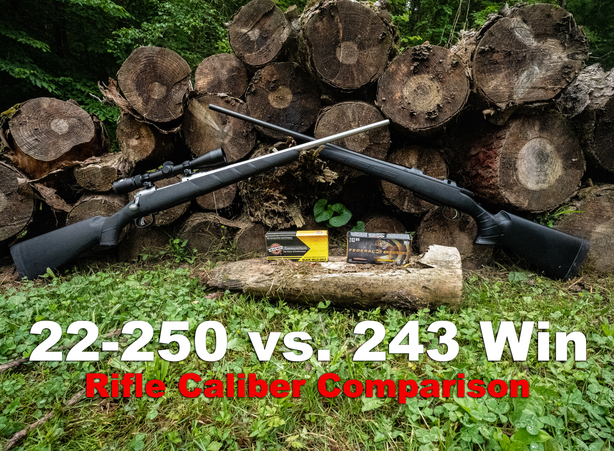 22-250 vs 243 Winchester - The Lodge at AmmoToGo.com