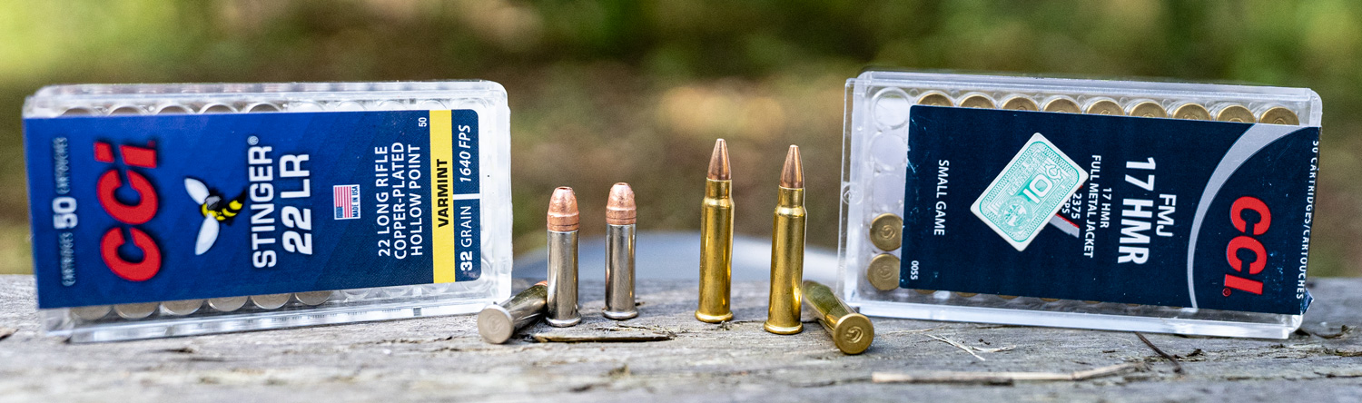 rimfire ammunition size comparison of the two rounds