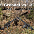 6.5 Grendel vs 308