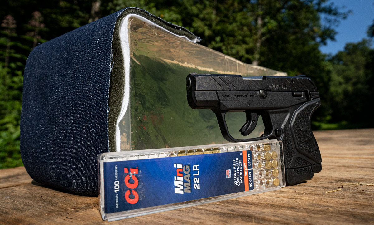 22LR for Home Defense - Big Enough Cartridge For Your Trust?