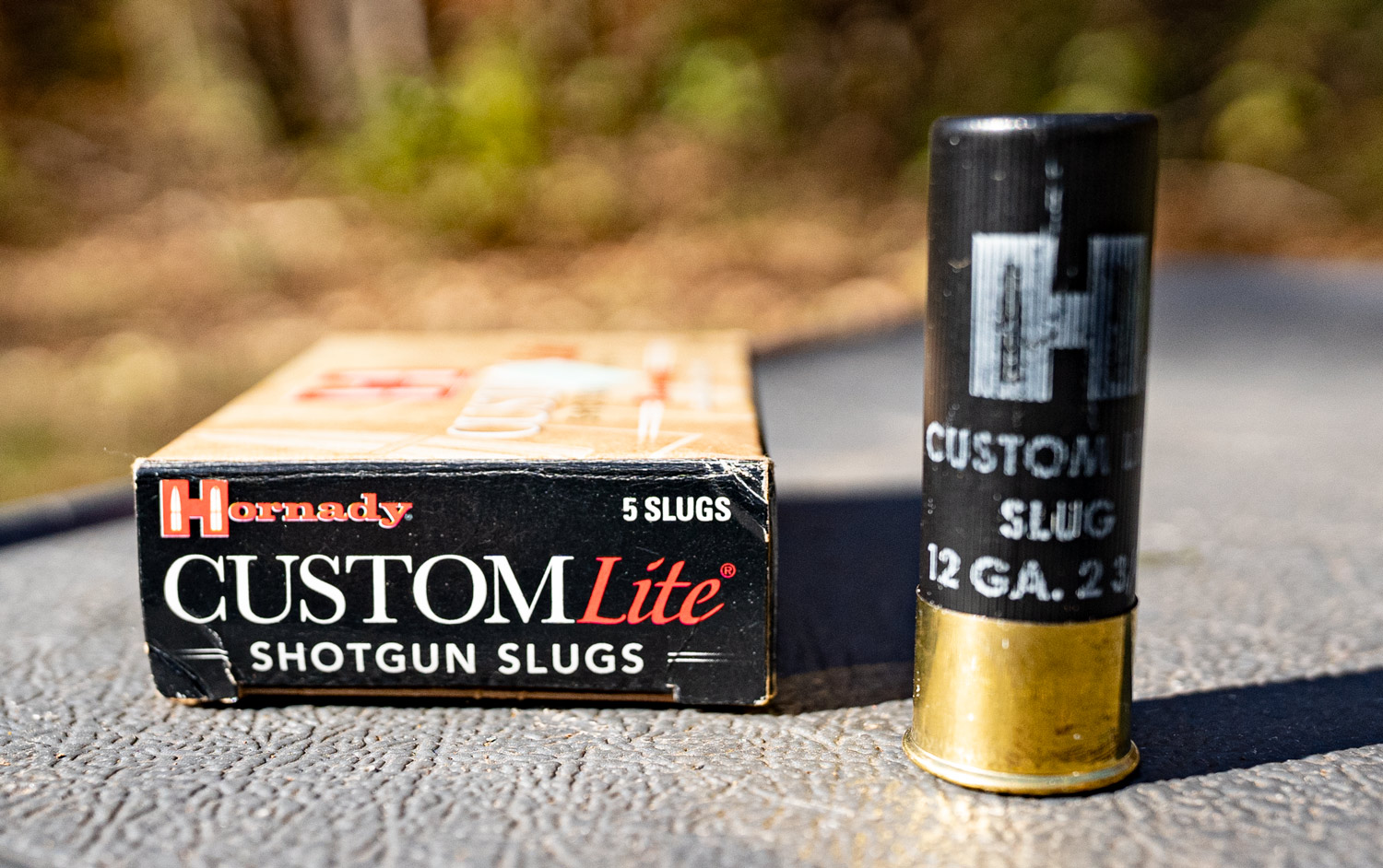 Rifled slugs made by Hornady are great for slug guns