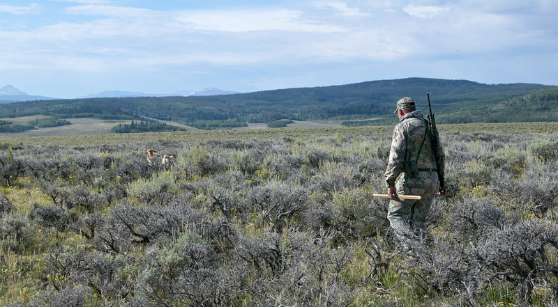 Coyote hunter in the field