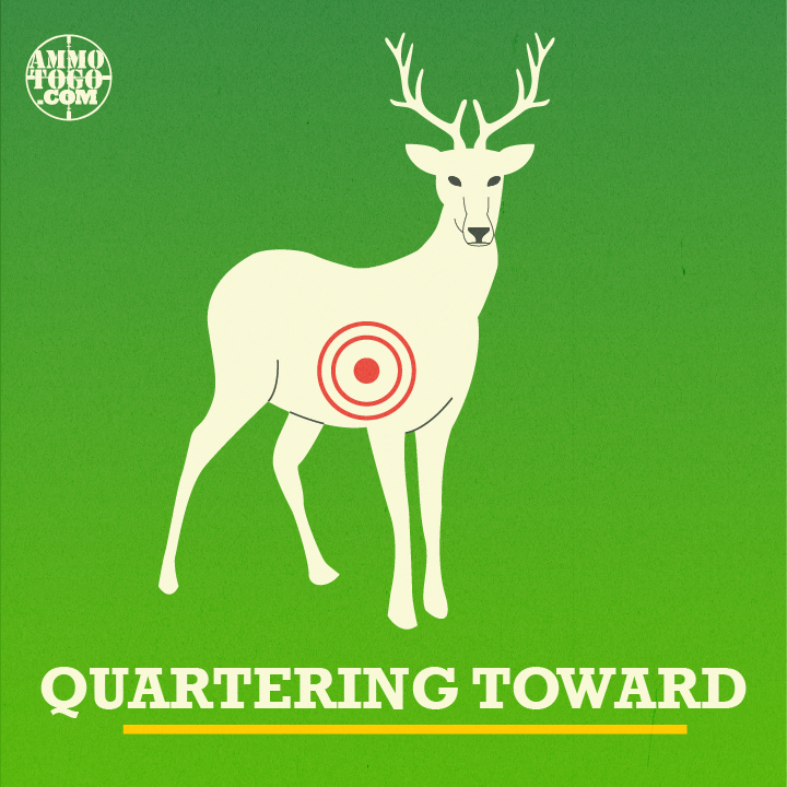 Quartering toward shot angle graphic