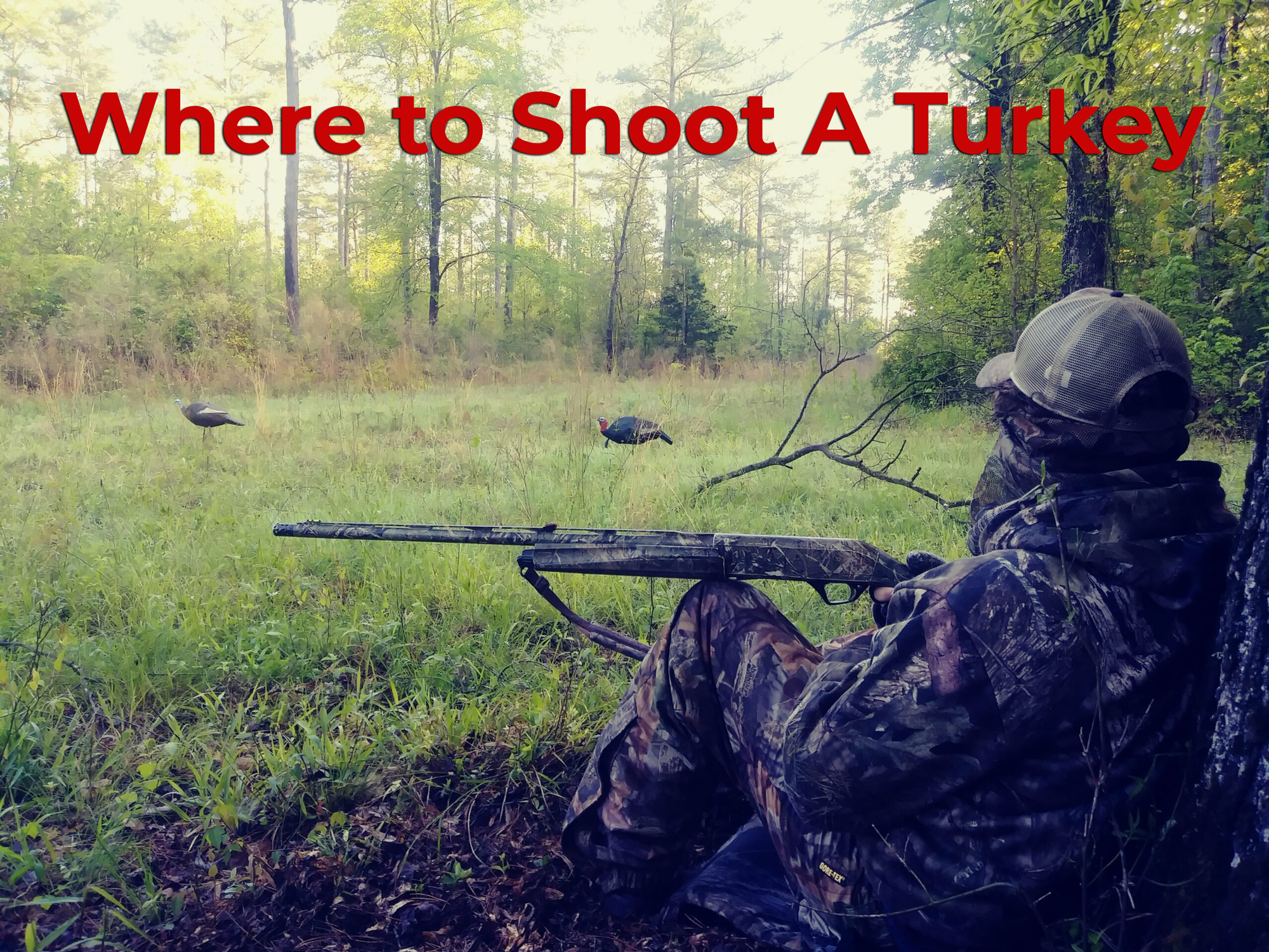 What Do You Shoot a Turkey With? A Guide to Choosing the Right Firearm ...